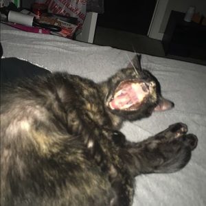 Meet your Posher, Robbie